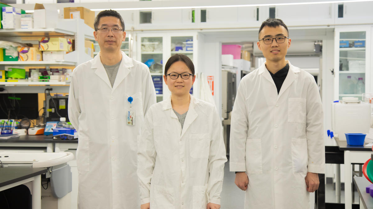 Sheng Tong, Xiaoyue Yang and Zhongchao Yi pose in laboratory.