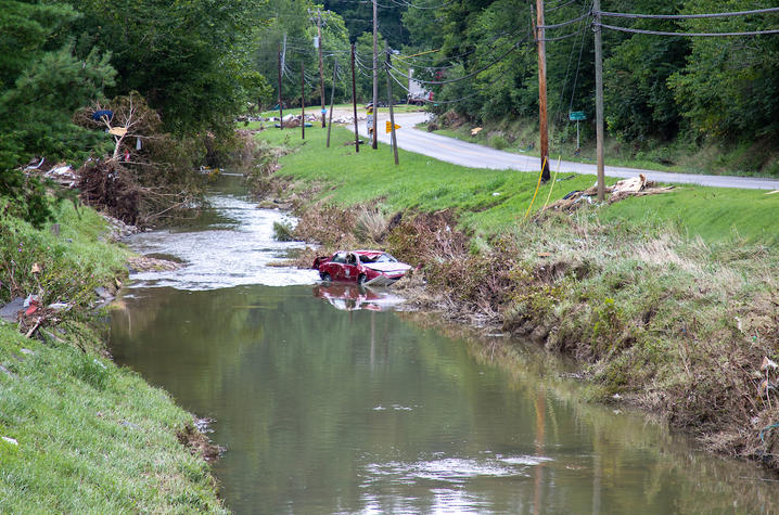 The National Weather Service reported that from July 25-29, between 14 and 16 inches of rain fell on 13 counties. Hilary Brown | UK Photo