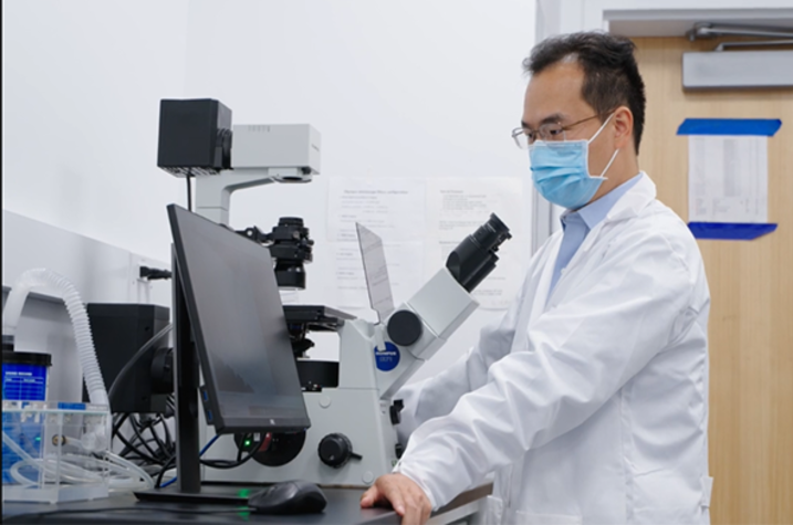 Caigang Zhu, assistant professor of biomedical engineering, develops new optical technology to provide personalized radiotherapy for head and neck cancer and breast cancer.