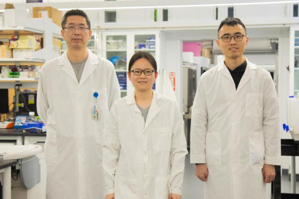 Sheng Tong, Xiaoyue Yang and Zhongchao Yi pose in laboratory.