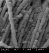 Vertically aligned arrays of CuInSe2 (CIS) nanowires of controllable diameter and length.