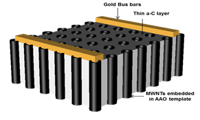 Vertically aligned multi-walled carbon nanotube (MWCNT) arrays fabricated by xylene pyrolysis in anodized aluminum oxide (AAO) templates without the use of a catalyst were integrated into a resistive sensor design.