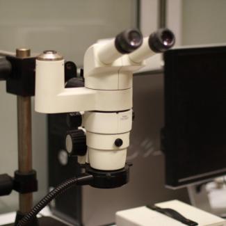 Nikon SMZ800 - Optical Microscopy System.