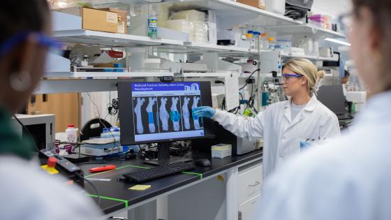 Person in lab pointing at screen